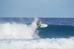 TORQ Epoxy TET 6'6" Fish Pinlines Surfboard -Mystic Shop 183754 5 69406 1280x1280