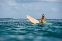 TORQ Epoxy TET 7.2 Funboard Pinlines Surfboard -Mystic Shop 183775 6 69408 1280x1280