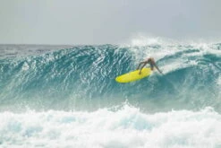 TORQ Epoxy TET 7.6 Funboard Pinlines Surfboard -Mystic Shop 183784 5 69409 1280x1280