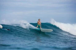 TORQ Epoxy TET 8.0 Longboard Pinlines Surfboard 10 TORQ Epoxy TET 8.0 Longboard Pinlines Surfboard -Mystic Shop 183794 5 69410 1280x1280