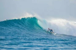 TORQ Epoxy TET 8.0 Longboard Pinlines Surfboard 11 TORQ Epoxy TET 8.0 Longboard Pinlines Surfboard -Mystic Shop 183795 6 69410 1280x1280